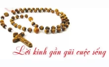 Kinh Mân Côi là lời kinh loan báo Tin Mừng cho lương dân