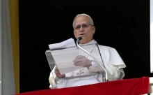 Kinh Truyền Tin (8/3): Nhiều người tìm kiếm nơi Giáo hội sự dịu dàng và sẵn sàng của Chúa