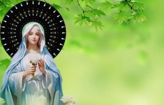 Kinh Mân Côi làm cho niềm hy vọng về những điều vĩnh cửu trên trời trở nên tươi sáng