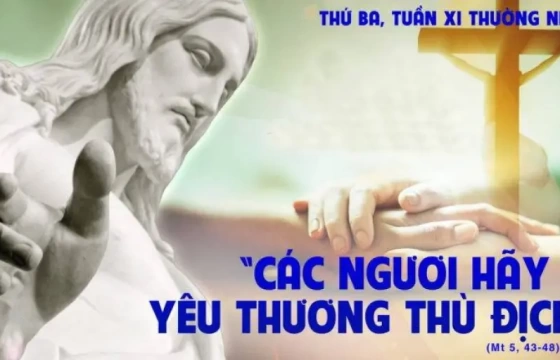 Thứ ba 18/06/2024 – Thứ Ba tuần 11 thường niên