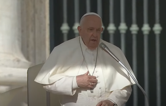 Tiếp kiến chung ngày 25/9/2024 - ĐTC Phanxicô: Đừng bao giờ đối thoại với ma quỷ!