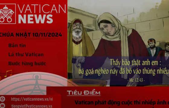 Radio Chúa Nhật 10/11/2024