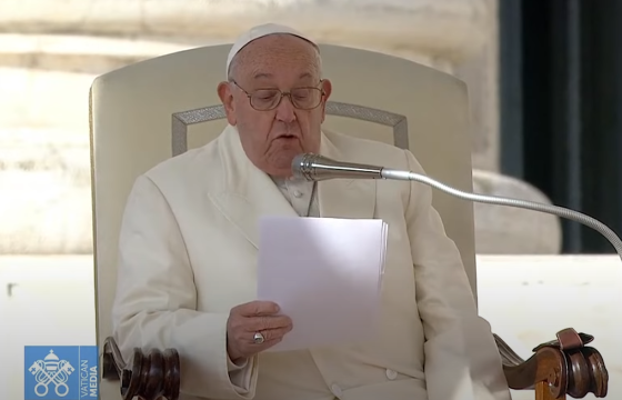 Tiếp kiến chung 13/11 - ĐTC Phanxicô: Đức Mẹ dẫn chúng ta đến với Chúa Giêsu