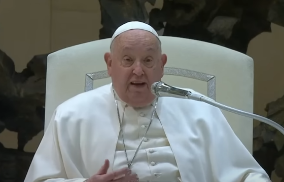 Tiếp kiến chung (5/2): Mẹ Maria không sợ nguy hiểm hay phán xét, nhưng tiến về phía tha nhân