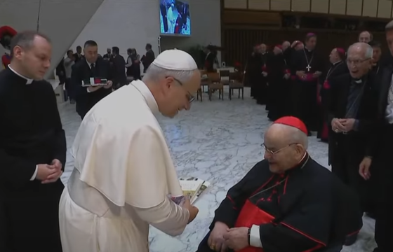 Tiếp kiến chung 27/8/2025 - ĐTC Lêô XIV: Tình yêu Kitô giáo không phải là trốn tránh mà là quyết định