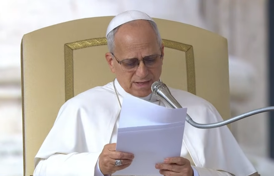 Tiếp kiến chung 31/12: Tạ ơn và xét mình dịp cuối năm