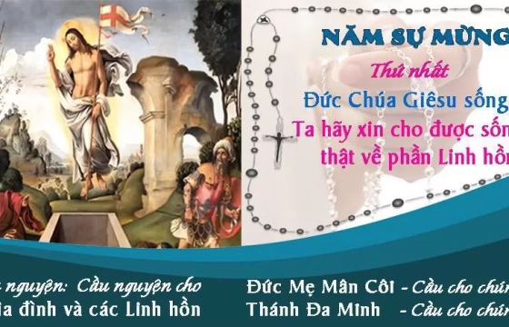 Thứ tư 22-05-2024 - NĂM SỰ MỪNG