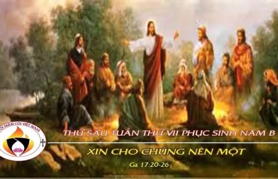 Lời Chúa Kitô theo Thánh Gioan:  Ga 21, 15-19 “Con hãy chăn dắt các chiên mẹ và chiên con của Thầy”