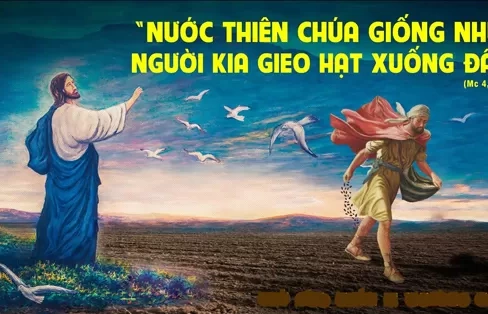 Chúa nhật 16/06/2024 – CHÚA NHẬT TUẦN 11 THƯỜNG NIÊN năm B