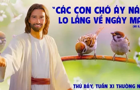Thứ bảy 22/06/2024 – Thứ Bảy tuần 11 thường niên