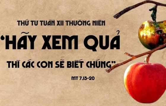 Thứ tư 26/06/2024 – Thứ Tư tuần 12 thường niên