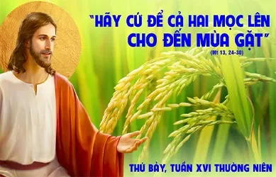 Thứ bảy 27/07/2024 – Thứ Bảy tuần 16 thường niên