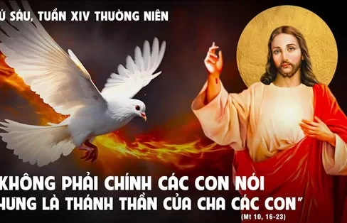 Thứ sáu 12/07/2024 – Thứ Sáu tuần 14 thường niên