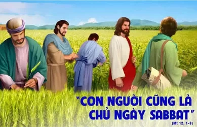 Thứ Sáu 19/07/2024 – Thứ Sáu tuần 15 thường niên