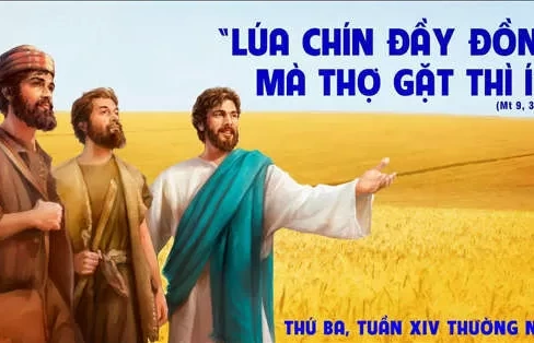Thứ ba 09/07/2024 – Thứ Ba tuần 14 thường niên