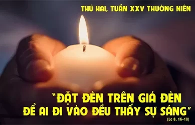 Thứ hai 23/09/2024 – Thứ Hai tuần 25 thường niên – Thánh Piô Pietrelcina, linh mục - Lễ nhớ