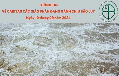 Thông tin về Caritas các giáo phận đang gánh chịu bão lụt