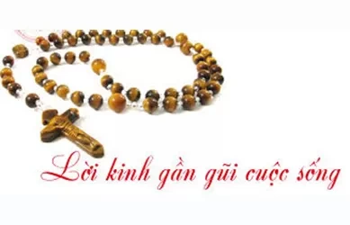 Kinh Mân Côi là lời kinh loan báo Tin Mừng cho lương dân