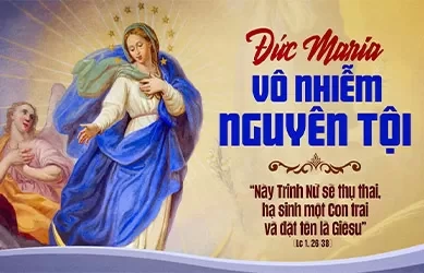 Thứ hai 09/12/2024 – Thứ Hai tuần 2 mùa vọng – ĐỨC MẸ VÔ NHIỄM NGUYÊN TỘI - Lễ trọng