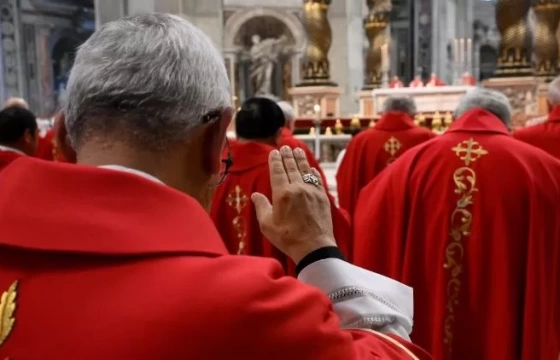 Các Hồng y xin các tín hữu cầu nguyện cho các ngài trong việc chọn Giáo hoàng