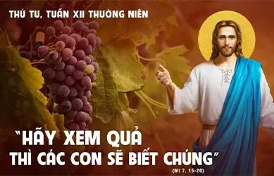 Thứ Tư 25/06/2025 – Thứ Tư tuần 12 thường niên