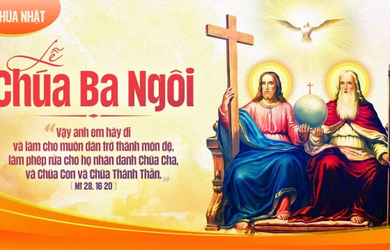 Chúa Nhật 15/06/2025 – CHÚA NHẬT 11 THƯỜNG NIÊN – CHÚA BA NGÔI năm C - Lễ Trọng