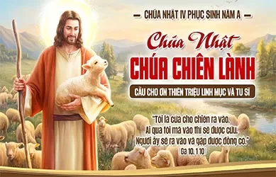 Chúa nhật 26/04/2026 - Chúa nhật 4 Phục sinh năm A - Chúa Nhật Chúa Chiên Lành