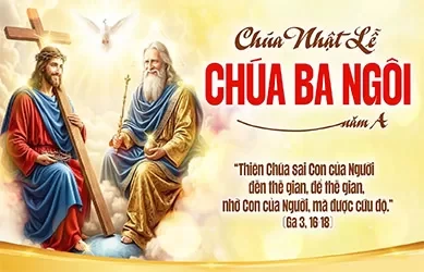 Chúa Nhật 31/05/2026 – CHÚA NHẬT 9 THƯỜNG NIÊN – CHÚA BA NGÔI năm A