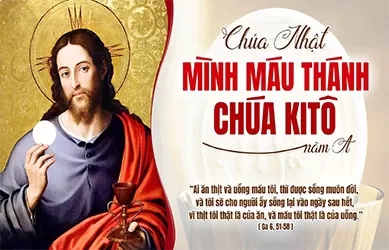 Chúa Nhật 07/06/2026 – Lễ Mình Máu Thánh Chúa Kitô năm A
