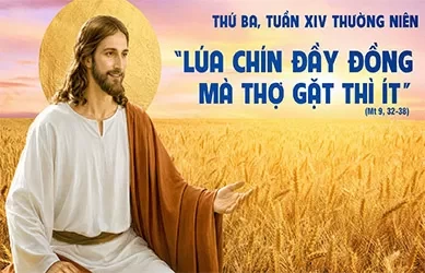 Thứ Ba 07/07/2026 – Thứ Ba tuần 14 thường niên