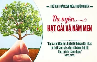 Thứ Hai 27/07/2025 – Thứ Hai tuần 17 thường niên
