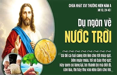 Chúa Nhật 19/07/2026 – CHÚA NHẬT 16 THƯỜNG NIÊN năm A