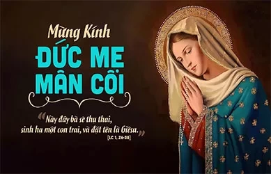 Chúa Nhật 04/10/2026 – CHÚA NHẬT 27 THƯỜNG NIÊN năm A – Kính trọng thể ĐỨC MẸ MÂN CÔI
